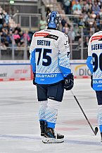 Eishockey, Herren, DEL, Saison 2024-2025, Vorbereitung, ERC Ingolstadt - Dresdner Eislöwen, 18.08.2024
