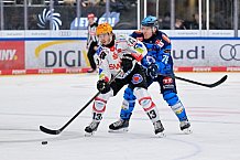 Eishockey, Herren, DEL, Saison 2025-2026, Spiel 21, ERC Ingolstadt - Pinguins Bremerhaven, 23.11.2025