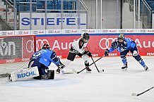 Eishockey, Frauen, DFEL, Saison 2023-2024, ERC Ingolstadt - Amsterdam Tigers, 06.01.2024