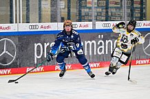 Eishockey, Frauen, DFEL, Saison 2024-2025, ERC Ingolstadt - Mad Dogs Mannheim, 23.11.2024