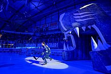 Eishockey, Herren, DEL, Saison 2024-2025, Spieltag 22, ERC Ingolstadt - Düsseldorfer EG, 01.12.2024