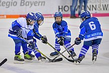 ERC Ingolstadt vs Fischtown Pinguins, Eishockey, DEL, Deutsche Eishockey Liga, Spieltag 13, 21.10.2018