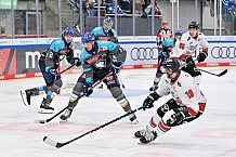 Eishockey, Herren, DEL, Saison 2026-2027, Spieltag 6, ERC Ingolstadt - Kölner Haie, 04.10.2026