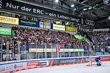 Eishockey, Herren, DEL, Saison 2024-2025, Playoffs Viertelfinale, Spiel 1, ERC Ingolstadt - Nürnberg Ice Tigers, 16.03.2025