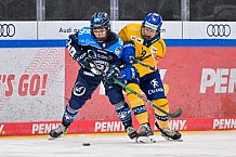 Eishockey, Frauen, DFEL, Saison 2025-2026, Testspiel, ERC Ingolstadt - HC Davos, 14.02.2026