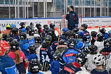 Eishockey, Herren, DEL, Saison 2024-2025, ERC Ingolstadt - Kids On Ice Day, 11.01.2025