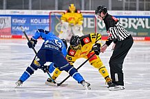Eishockey, U20, DNL, Saison 2024-2025, ERC Ingolstadt - Krefelder EV 81, 01.03.2025