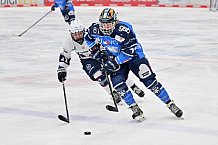 Eishockey, Frauen, DFEL, Playoffs, Saison 2023-2024, ERC Ingolstadt - Eisbären Berlin, 02.03.2024