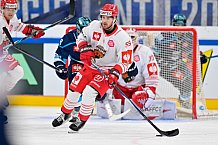 Hockey, Mens, CHL, Season 2025-2026, Regular Season, Game Day 6, ERC Ingolstadt - Odense Bulldogs, 15.10.2025