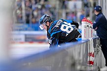 Eishockey, Herren, DEL, Saison 2025-2026, Spiel 23, ERC Ingolstadt - Dresdner Eislöwen, 28.11.2025