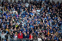Eishockey, Herren, DEL, Saison 2024-2025, Playoffs Halbfinale, Spiel 1, ERC Ingolstadt - Kölner Haie, 02.04.2025