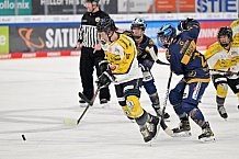 Eishockey, Frauen, DFEL, Saison 2022-2023, ERC Ingolstadt - Mad Dogs Mannheim, 19.11.2022