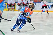 Eishockey, Frauen, DFEL, Saison 2024-2025, ERC Ingolstadt - HK Budapest Roster, 12.01.2025