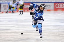 Eishockey, Frauen, DFEL, Saison 2020-2021, ERC Ingolstadt - Mad Dogs Mannheim, 30.01.2021