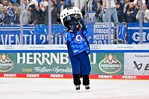 Eishockey, Herren, DEL, Saison 2025-2026, Spiel 23, ERC Ingolstadt - Dresdner Eislöwen, 28.11.2025