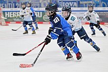 Eishockey, Herren, DEL, Saison 2024-2025, Spieltag 26, ERC Ingolstadt - Iserlohn Roosters, 15.12.2024
