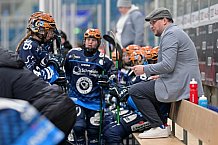 Eishockey, Frauen, DFEL, Saison 2024-2025, ERC Ingolstadt - EC Bergkamener Bären, 04.01.2025