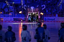 Eishockey, Herren, DEL, Saison 2024-2025, Spieltag 36, ERC Ingolstadt - Kölner Haie, 12.01.2025