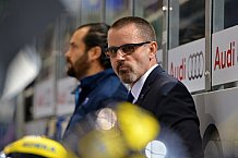 ERC Ingolstadt vs Straubing Tigers, Eishockey, DEL, Deutsche Eishockey Liga, Spieltag 16, 30.10.2016
