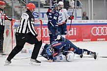 Eishockey, Herren, DEL, Saison 2024-2025, Spieltag 17, ERC Ingolstadt - Adler Mannheim, 17.11.2024