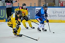 Eishockey, Herren, U20 DNL, Saison 2025-2026, Halbfinale - Spiel 2, ERC Ingolstadt - Krefelder EV 81, 15.03.2026