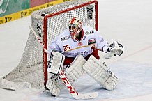 ERC Ingolstadt - Duesseldorfer EG, Eishockey, DEL, Deutsche Eishockey Liga, Spieltag 10, 11.10.2015
