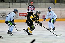 Eishockey, Herren, DEL, Saison 2025-2026, Vinschgau Cup, Spiel 2, Straubing Tigers - HC Pustertal, 23.08.2025
