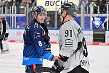 Eishockey, Herren, DEL, Saison 2024-2025, Spieltag 36, ERC Ingolstadt - Kölner Haie, 12.01.2025