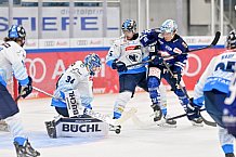 Eishockey, Herren, DEL, Saison 2024-2025, Vorbereitung, ERC Ingolstadt - Dresdner Eislöwen, 18.08.2024