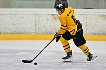Eishockey, Herren, DEL, Saison 2026-2027, ERC Ingolstadt - HC Verva Litvinov - Steinbach Black Wings Linz, 22.08.2026