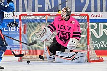Eishockey, Herren, DEL, Saison 2024-2025, Spieltag 8, ERC Ingolstadt - Grizzlys Wolfsburg, 11.10.2024