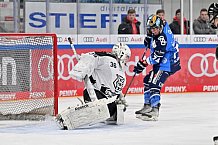 Eishockey, Frauen, DFEL, Saison 2023-2024, ERC Ingolstadt - Amsterdam Tigers, 06.01.2024
