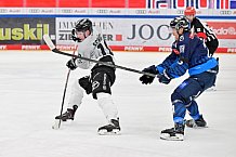 Eishockey, Herren, DEL, Saison 2024-2025, Spieltag 42, ERC Ingolstadt - Kölner Haie, 31.01.2025