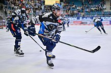 Eishockey, Herren, DEL, Saison 2024-2025, Spieltag 49, ERC Ingolstadt - Straubing Tigers, 28.02.2025