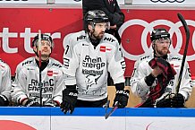 Eishockey, Herren, DEL, Saison 2025-2026, Spiel 16, ERC Ingolstadt - Kölner Haie, 31.10.2025