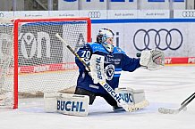 Eishockey, Frauen, DFEL, Saison 2025-2026, ERC Ingolstadt - Eisbären Berlin, 18.01.2026