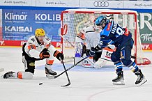 Eishockey, Herren, DEL, Saison 2025-2026, Spiel 10, ERC Ingolstadt - Löwen Frankfurt, 12.10.2025