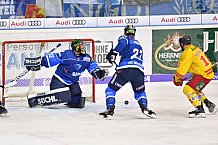 ERC Ingolstadt vs Duesseldorfer EG, Eishockey, DEL, Deutsche Eishockey Liga, Spieltag 22, 19.11.2017
