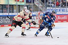 Eishockey, Herren, DEL, Saison 2024-2025, Spieltag 38, ERC Ingolstadt - Nürnberg Ice Tigers, 19.01.2025