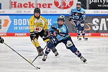 Eishockey, Frauen, DFEL, Halbfinale, Saison 2022-2023, ERC Ingolstadt - Mad Dogs Mannheim, 25.02.2023