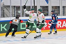 Eishockey, Mens, CHL, Season 2023-2024, ERC Ingolstadt - Färjestad Karlstad, 02.09.2023