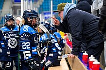 Eishockey, Frauen, DFEL, Saison 2025-2026, Testspiel, ERC Ingolstadt - HC Davos, 14.02.2026