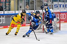 Eishockey, U20, DNL, Saison 2024-2025, ERC Ingolstadt - Krefelder EV 81, 01.03.2025