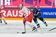 Hockey, Mens, CHL, Season 2025-2026, Regular Season, Round of 16, ERC Ingolstadt - EC Red Bull Salzburg, 12.11.2025
