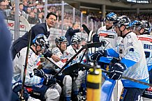 Eishockey, Herren, DEL, Saison 2024-2025, Playoffs Viertelfinale, Spiel 1, Nürnberg Ice Tigers - ERC Ingolstadt, 18.03.2025