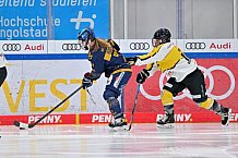 Eishockey, Frauen, DFEL, Saison 2022-2023, ERC Ingolstadt - Mad Dogs Mannheim, 19.11.2022