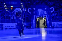 Eishockey, Herren, DEL, Saison 2024-2025, Spieltag 25, ERC Ingolstadt - Pinguins Bremerhaven, 12.12.2024