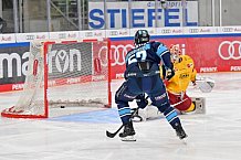 Eishockey, Herren, DEL, Saison 2022-2023, Playoff-Viertelfinale - Spiel 5, ERC Ingolstadt - Düsseldorfer EG, 24.03.2023