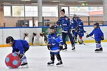 Eishockey, Herren, DEL, Saison 2021-2022, ERC Ingolstadt - Kids on Eis Day, 06.11.2021