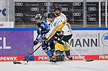 Eishockey, Frauen, DFEL, Saison 2023-2024, ERC Ingolstadt - Mad Dogs Mannheim, 18.02.2024